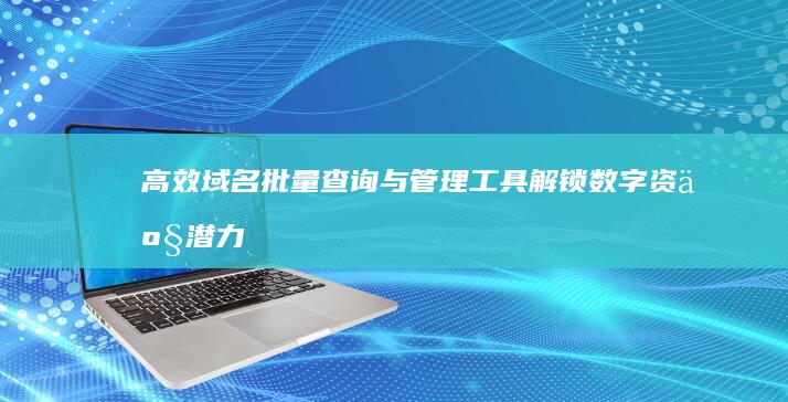 高效域名批量查询与管理工具：解锁数字资产潜力