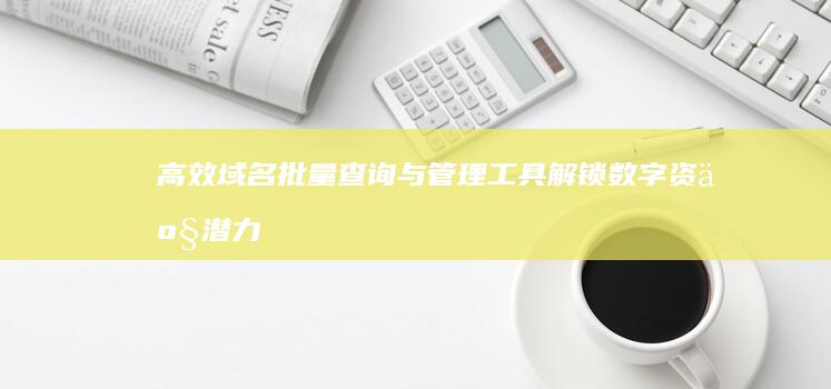 高效域名批量查询与管理工具：解锁数字资产潜力